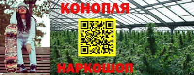 гидропоника Нарткала