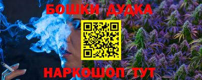 apvp Нальчик