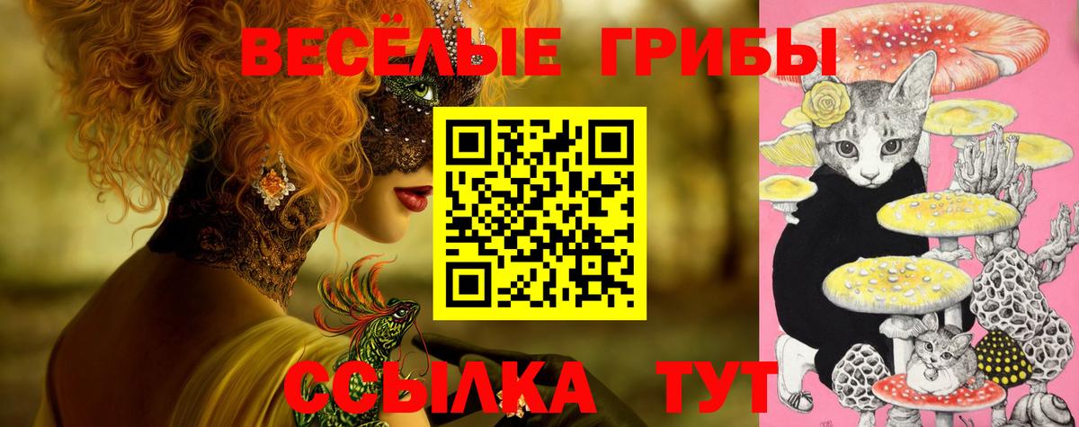 Псилоцибиновые грибы мухоморы Озёры